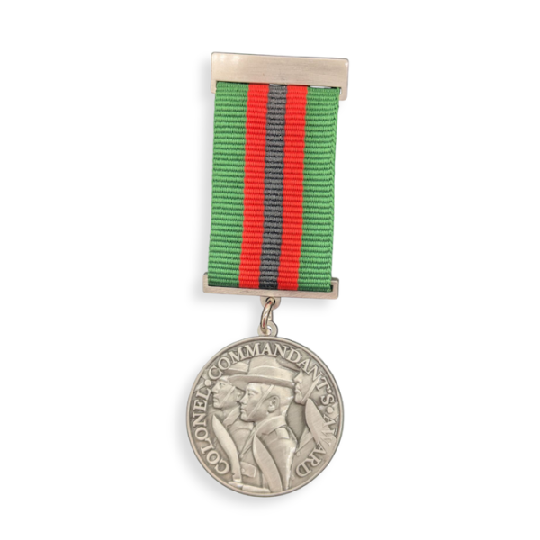 A military pin badge medal with 3D modelling of the image of a soldier. The pin is attached to a green and red medal ribbon.