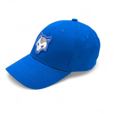 Custom Baseball Caps